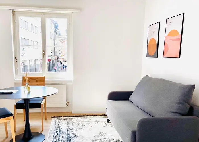 Cozy Studio Apartment Unit 12 In Center Of Zurich